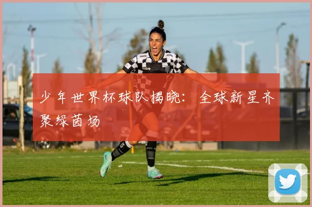 少年世界杯球队揭晓：全球新星齐聚绿茵场